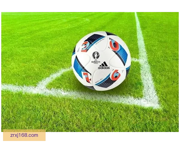 世界杯竞猜稳定平台分析与推荐助您轻松预测赛事结果赢得丰厚奖金